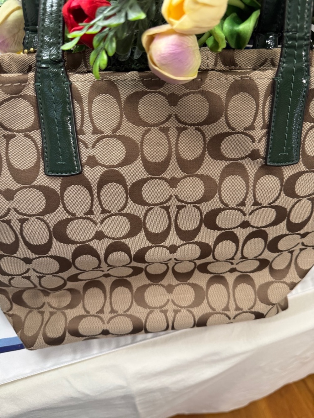 Coach Brown Signature Tote with Dark Green Python F25706 - Picture 15 of 15